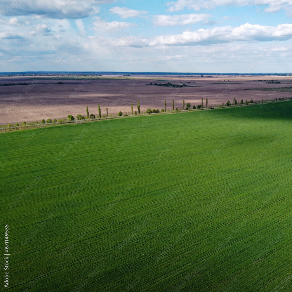 Naklejka premium A dry irrigation canal in a sown field, aerial view. Farmland landscape.