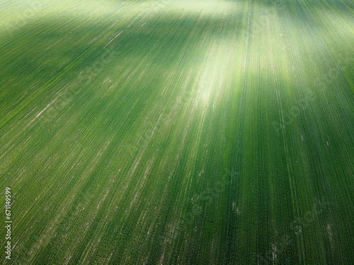 Green agricultural field, aerial view. Farmland landscape. Background. photo