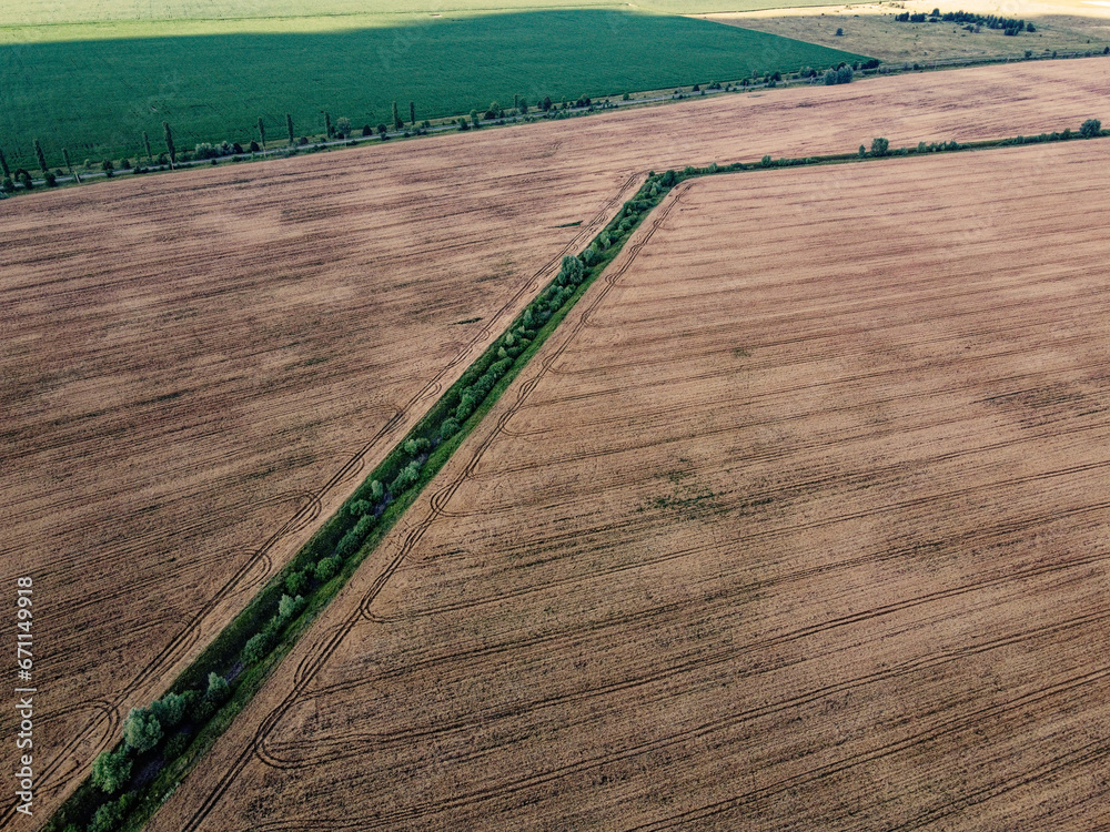 An old irrigation canal overgrown with trees among a wheat field, aerial view. Dry irrigation canal in the field, landscape.