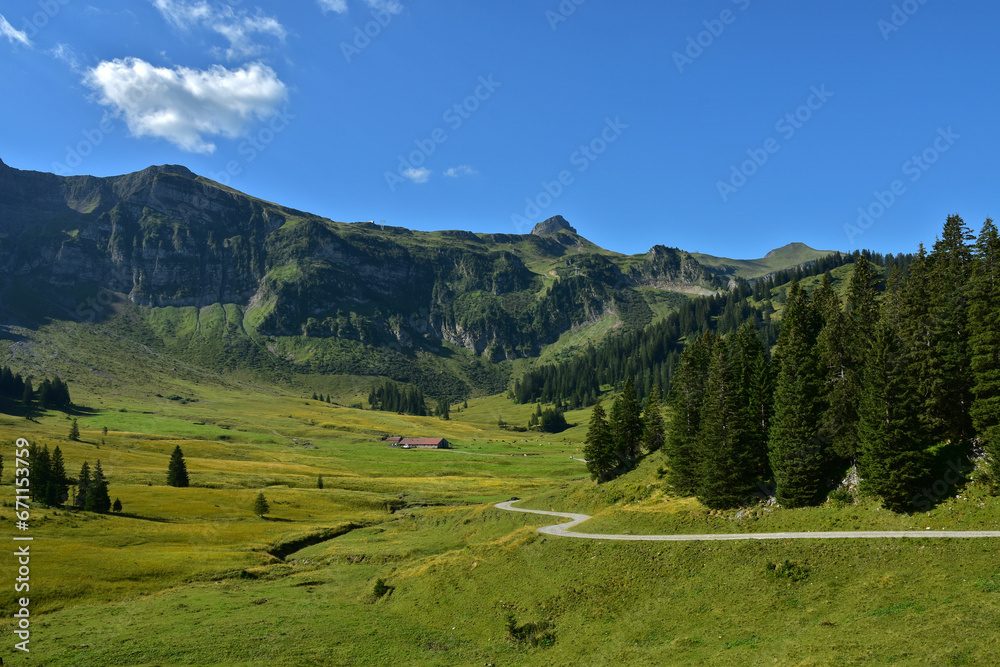 Bregenzerwald; Vorarlberg; Österreich;  Wurzachalpe mit Damülser Mittagsspitze