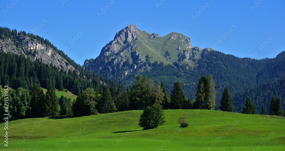 Tannheimer Tal bei Tannheim-Grän; Tirol; Österreich; Blick zum Aggenstein in den Allgäuer Alpen