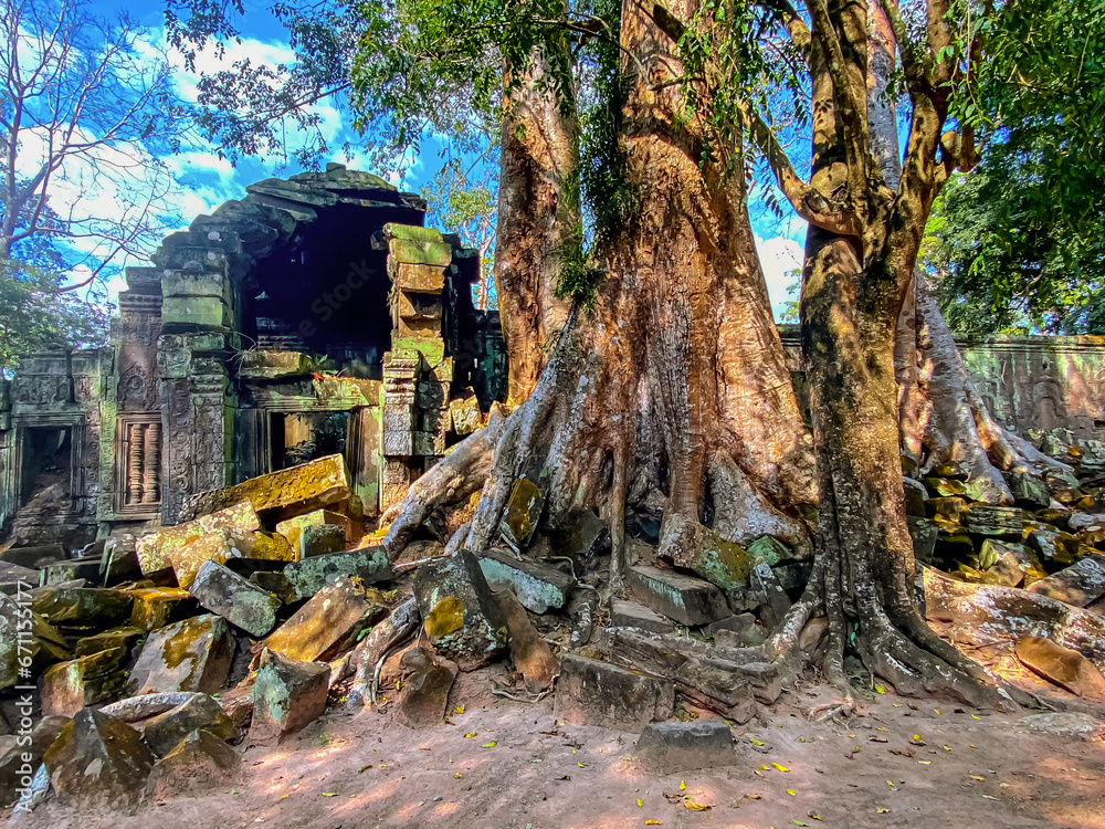 Ta Prohm, a mysterious temple of the Khmer civilization, located on the territory of Angkor in Cambodia Ta Prohm, a mysterious temple of the Khmer civilization, located on the territory of Angkor in Cambodia