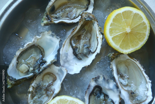 oysters platter with ice and lemon as luxury food