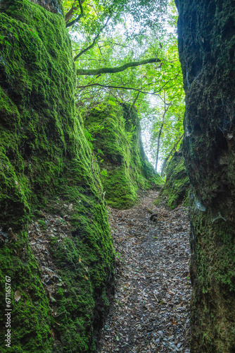 The Cavoni path near Nepi  in the province of Viterbo  Lazio  Italy.