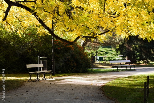 Ścieżka i ławki w parku miejskim w słoneczny jesienny dzień