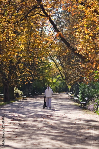 Postać kobiety idącej po ścieżce w parku miejskim, pchającej wózek dziecięcy, w słoneczny jesienny dzień