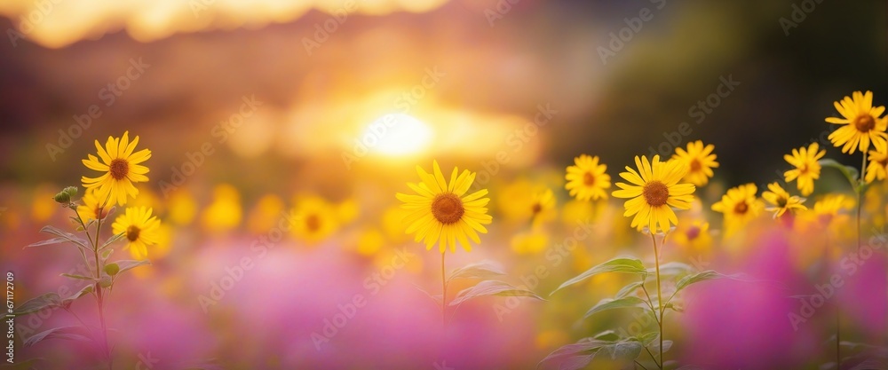 a beautiful nature landscape with flowers and sun
