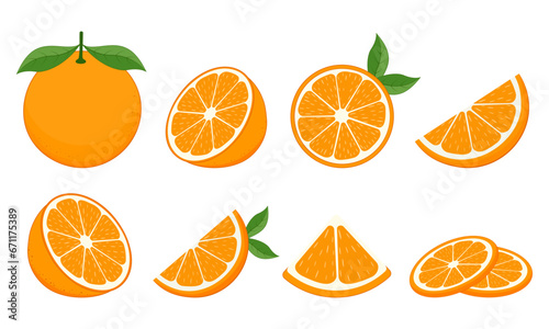 Set of fresh oranges. Orange fruit isolated on white background. Vector illustration for design and print