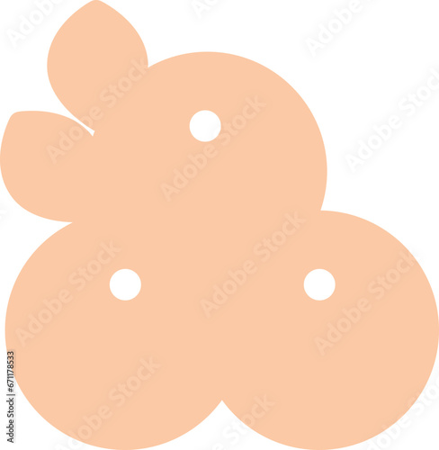 Apricot icon
