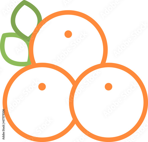 Apricot icon
