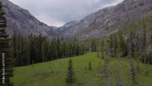 Aerial Footage of Mountain Forest, Montana, Summer