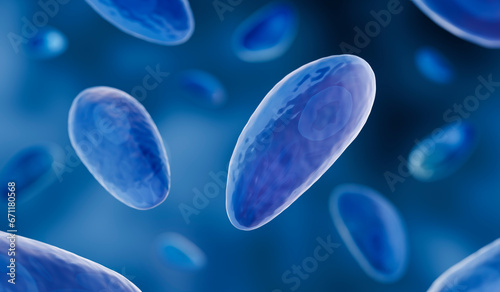 Fotografie Toxoplasma gondii