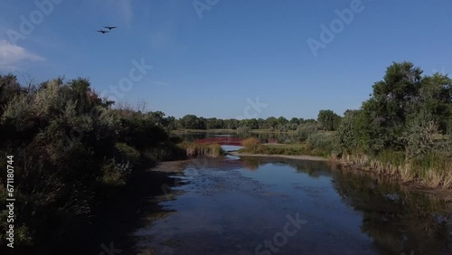 Aerial Footage of Pond in Montana with algae, Red Bridge, Summertime