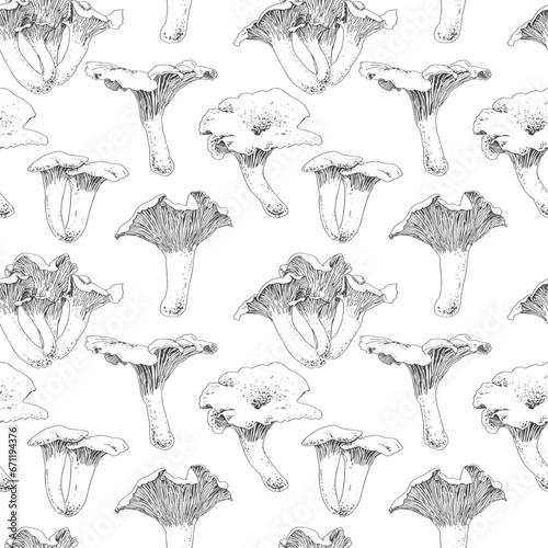 Seamless pattern of chanterelle mushrooms drawn with graphics in grey and white by vector. For poster, fabric, sketchbook cover, print.