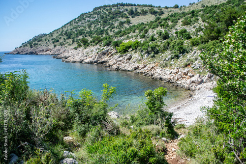 Czarnogóra, Bigovica, Morze Adriatyckie, Adriatyk, morze, lazurowa woda, wakacje, zatoka wśród drzew photo