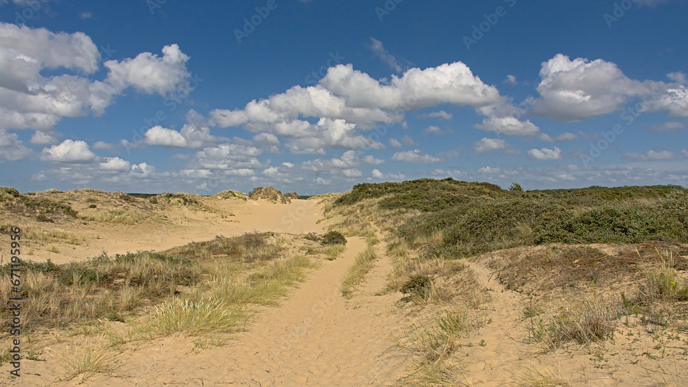 Sunny hiking trail through the dunes with trees and shrubs of `De Westhoek` nature reserve on a suny summer day , De Panne, Belgium