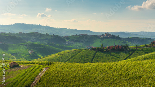 Langhe vineyards and Castiglione Falletto village. Piedmont, Italy