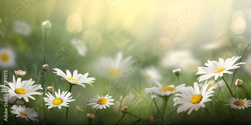 White daisies on a green meadow with bokeh. Generative AI.