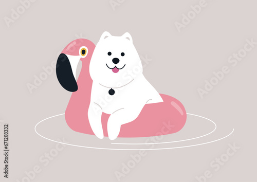A fluffy Samoyed dog enjoying a swim with an inflatable flamingo life buoy, partaking in summer swimming pool party activities