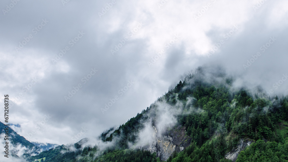 Paysage de montagne drapé de brume, rehaussant la beauté des sapins.