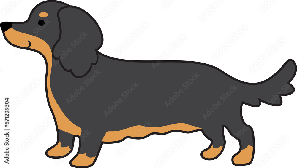 Dachshund dog in black and tan long-haired color icon.