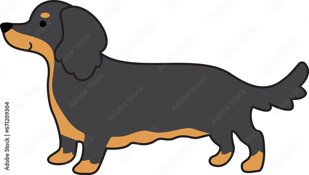 Dachshund dog in black and tan long-haired color icon. Dachshund dog in black and tan long-haired color icon.