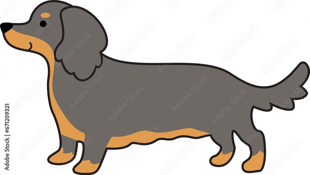 Dachshund dog in the blue-tan long-haired color icon.
