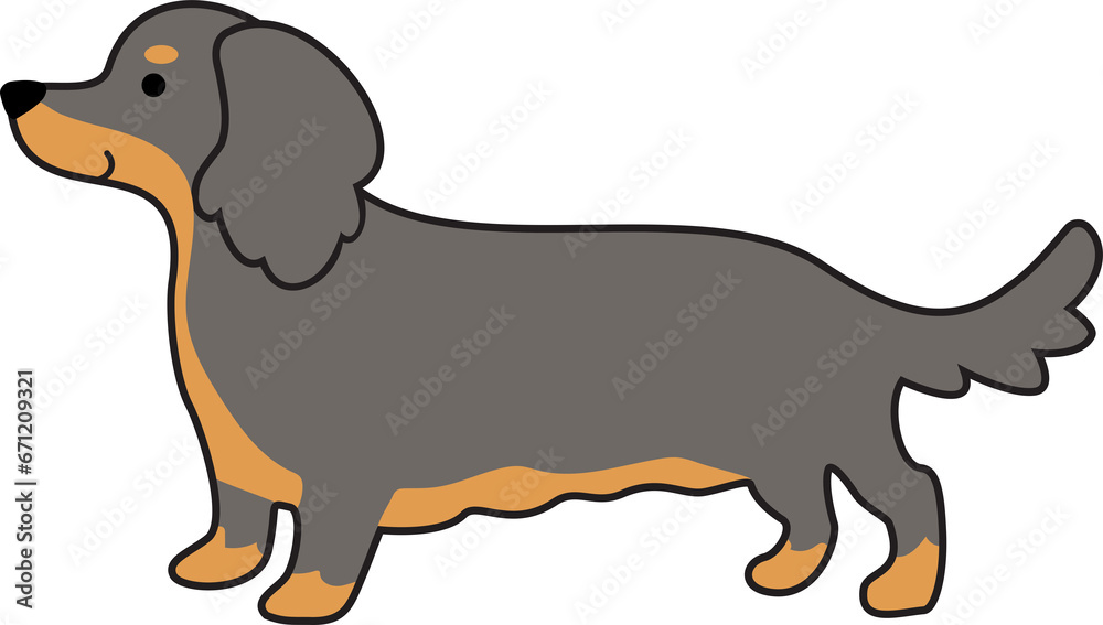 Dachshund dog in the blue-tan long-haired color icon. Dachshund dog in the blue-tan long-haired color icon.