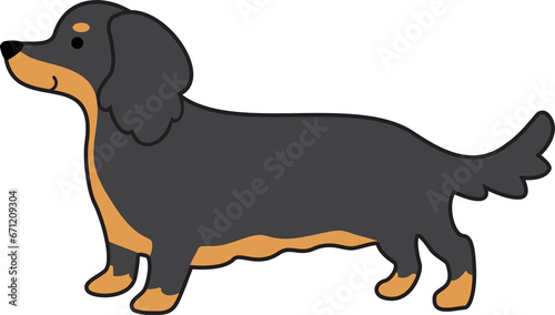 Dachshund dog in black and tan long-haired color icon.