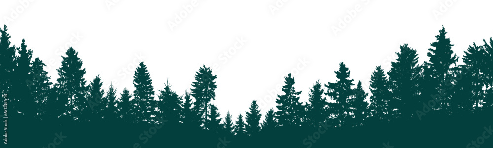 Beautiful forest silhouette, coniferous trees. Vector illustration