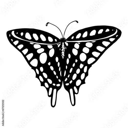 Beautiful butterfly sketch. Hand drawn line art illustration.