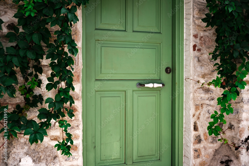 cozy street view of the olive green color wooden door in the stone wall covered with wild grape and ivy climber plants, fresh sun shelter mood in hot summer