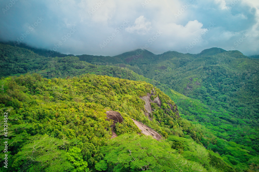 Fototapeta premium Drone shot from tea factory, the lush vegetation of the morn Seychellois national park, cloudy sky, Mahe Seychelles