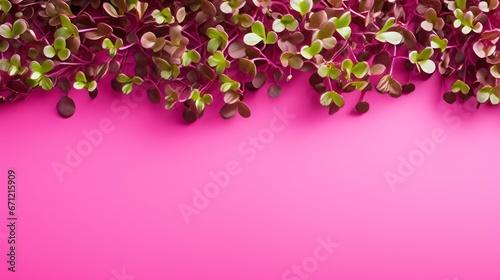 microgreen background with space for text.