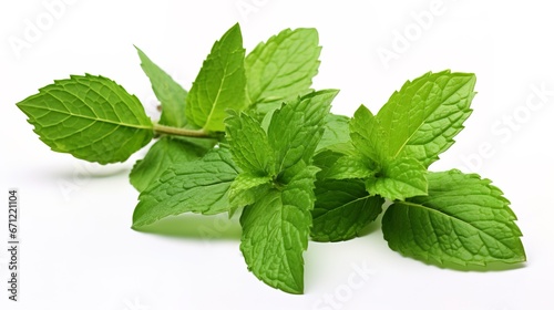 Fresh mint leaves. Generation AI