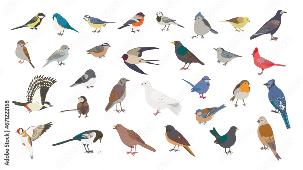 Garden little birds vector illustrations set.