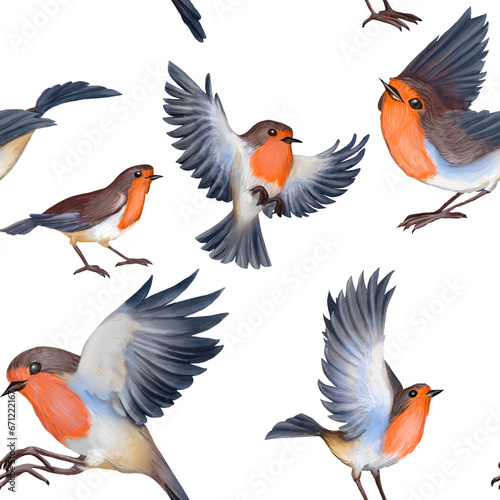 Seamless pattern of watercolor Robin bird