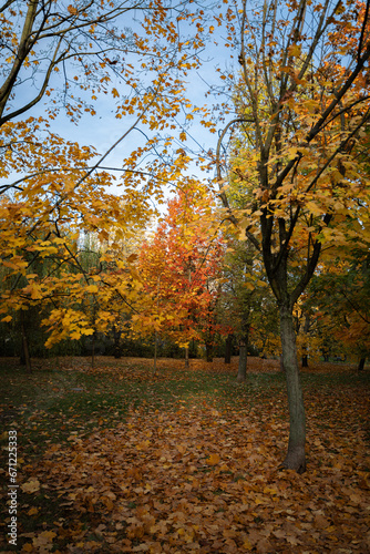 Sady Żoliborskie, City park in Warsaw photo