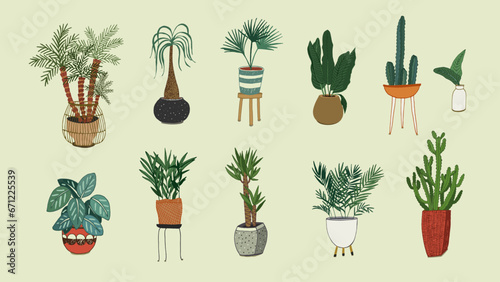 Home interior plants vector illustrations set.