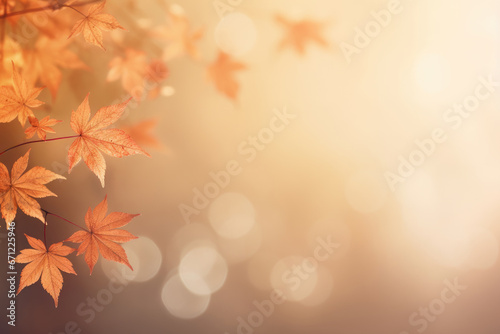 Abstract autumn frame background. Colored maple fall leaves against beautiful nature bokeh background with copy space