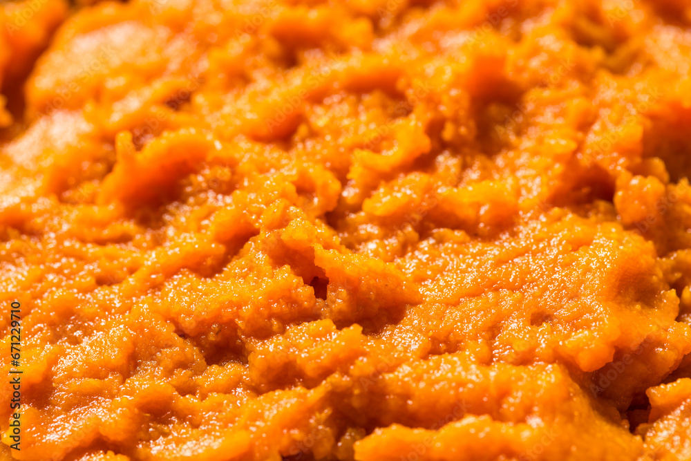 Organic Raw Orange Pumpkin Puree Organic Raw Orange Pumpkin Puree