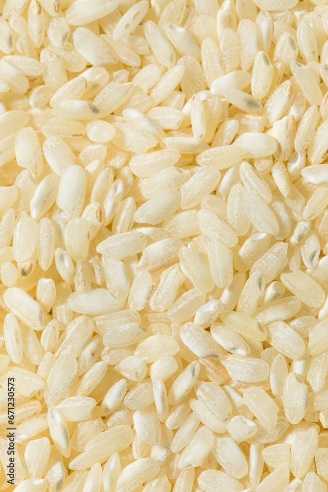 Raw Dry White Arborio Rice