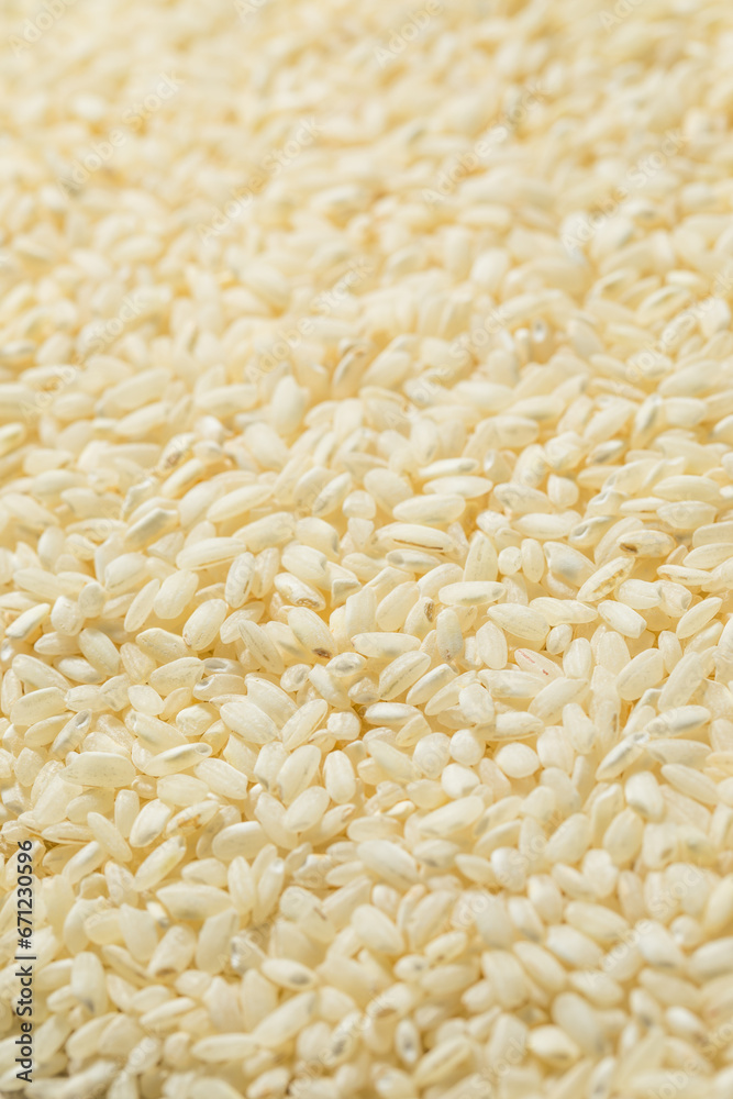 Raw Dry White Arborio Rice Raw Dry White Arborio Rice