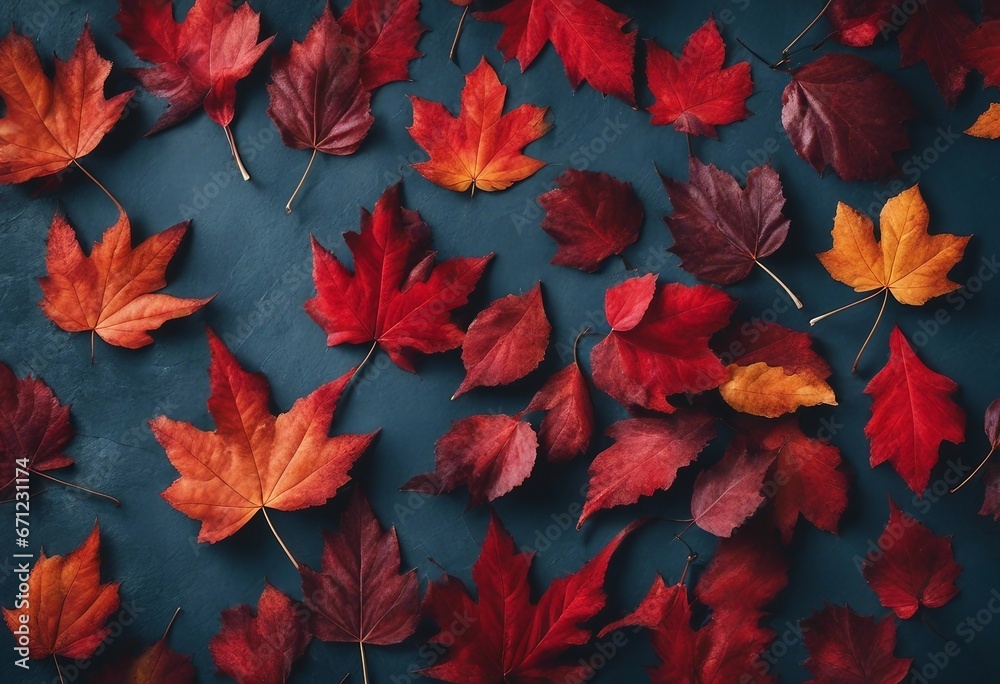 Vibrant Autumn Palette: Top View of Colored Red Leaves on Blue Slate Background