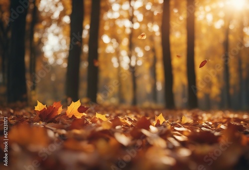 Defocused autumn trees in a forest or nature park with vibrant fallen leaves