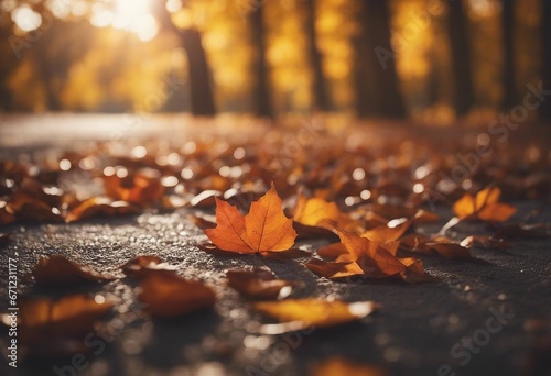 Autumn leaves lying on the floor photo