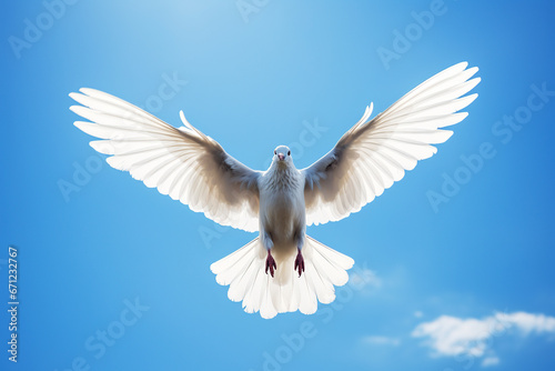 A white dove with outstretched wings against a blue sky. The dove is a symbol of the Holy Spirit and peace