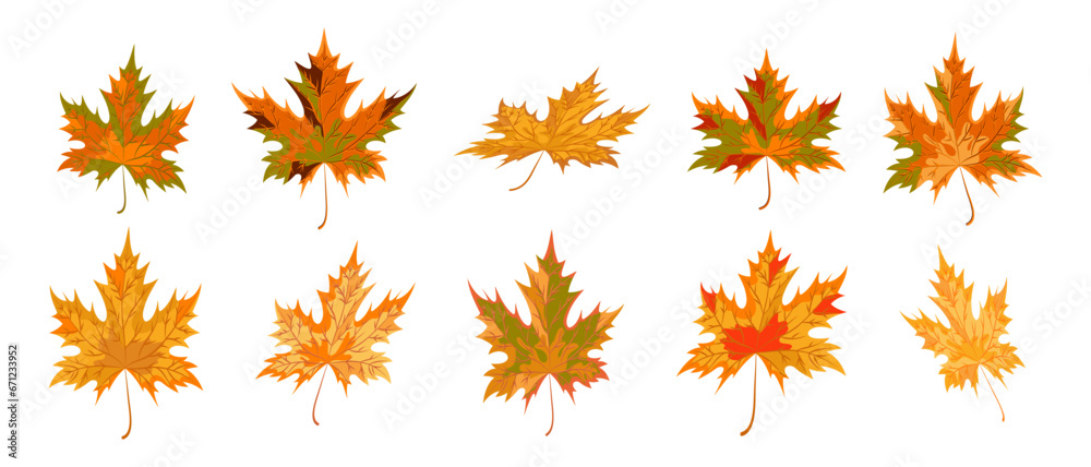 Collection of maple leaves in different positions. Maple leaves isolated. Cartoon style. Orange, yellow, green, brown, golden colors. Set of vector icons and symbols. Collection of maple leaves in different positions. Maple leaves isolated. Cartoon style. Orange, yellow, green, brown, golden colors. Set of vector icons and symbols.