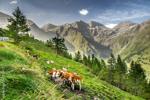 View from Grossglockner Hochalpenstraße