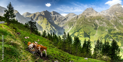 View from Grossglockner Hochalpenstraße